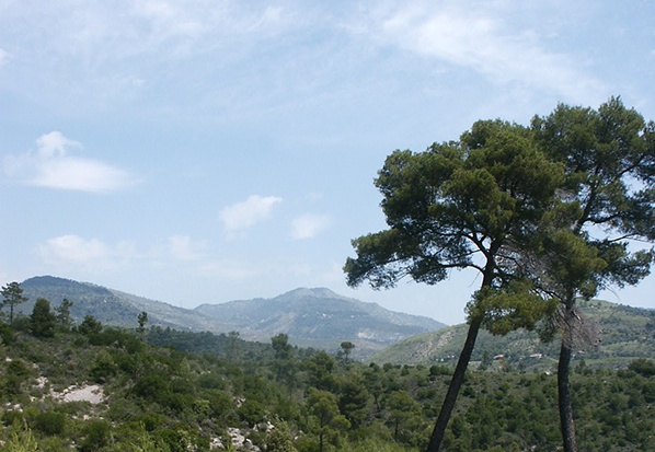 Plan climatique - Lutter contre le changement climatique